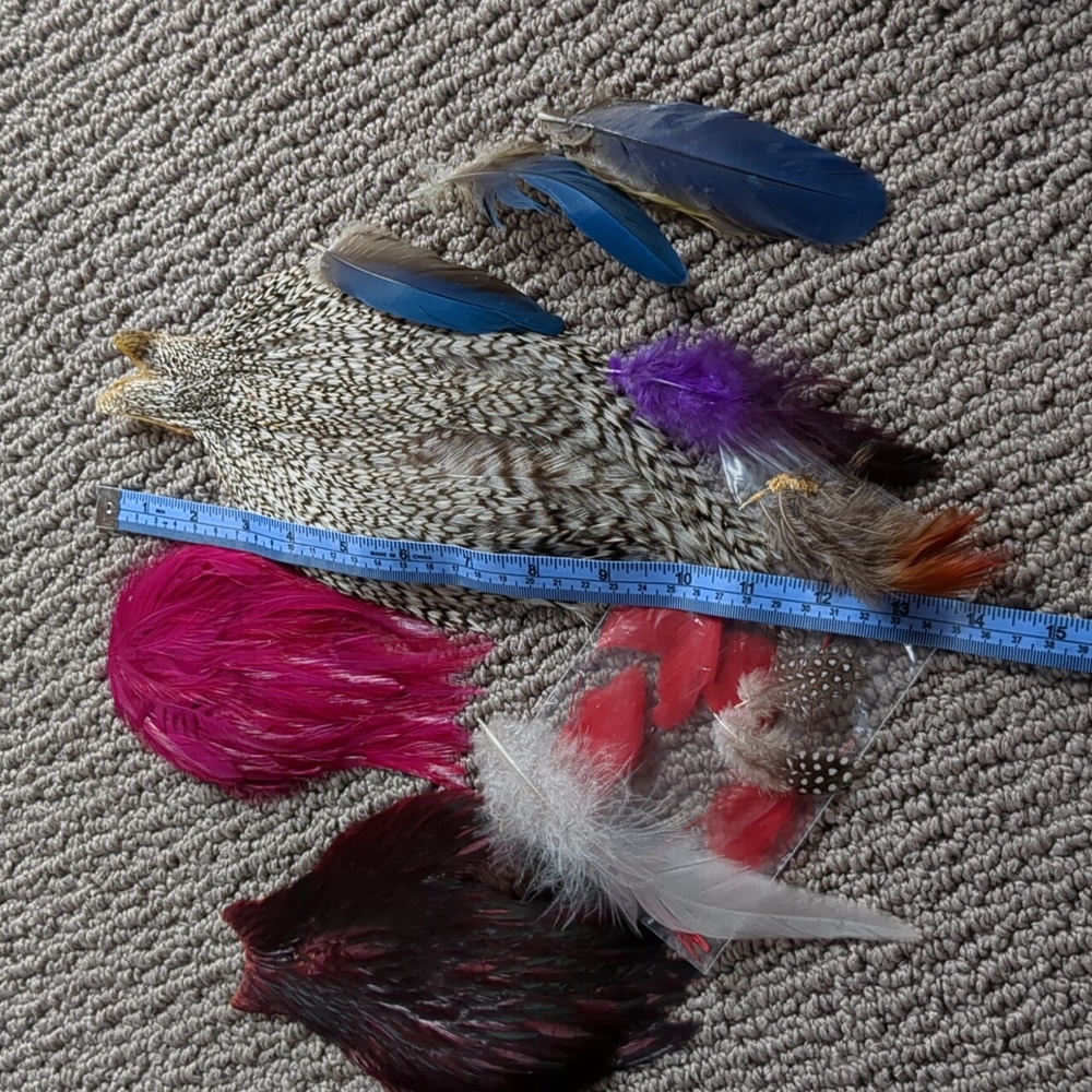 Authentic Feather Collection - Picture 2 of 9